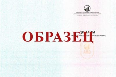 Диплом дополнение